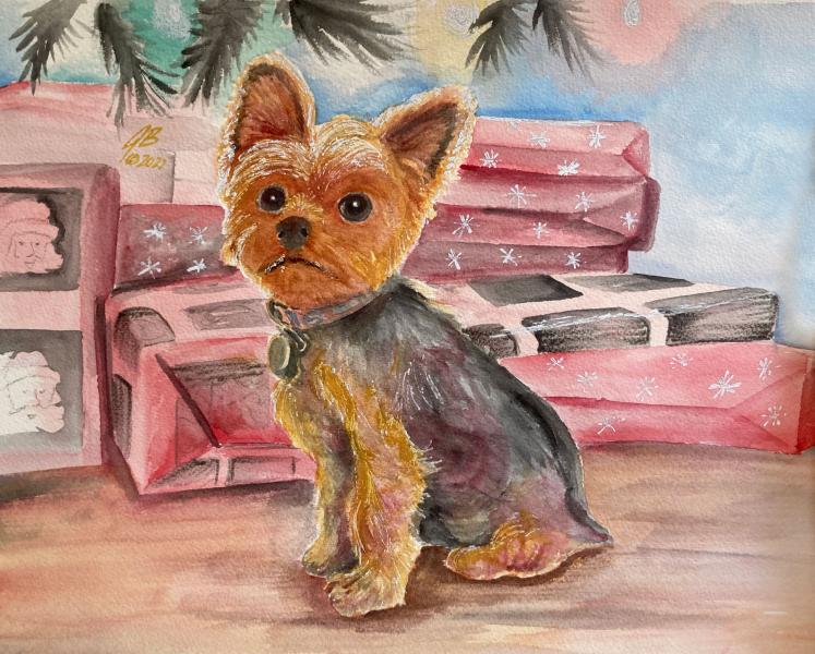 Molly, the Yorkshire Terrier