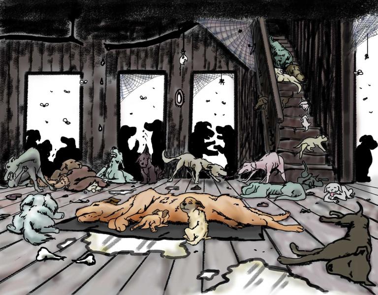 Rescue Dog's Journey-Page 2