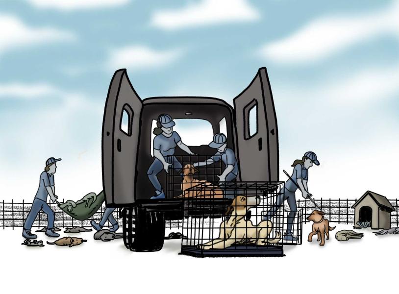 Rescue Dog's Journey-Page 3