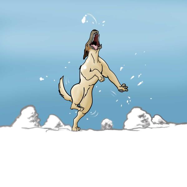 Rescue Dog's Journey-Page 22